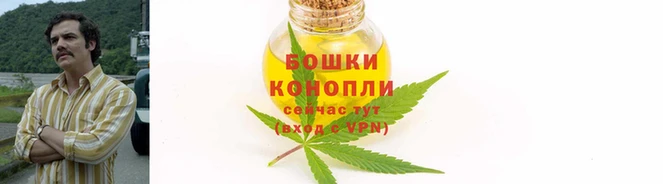 прущие крисы Белоозёрский