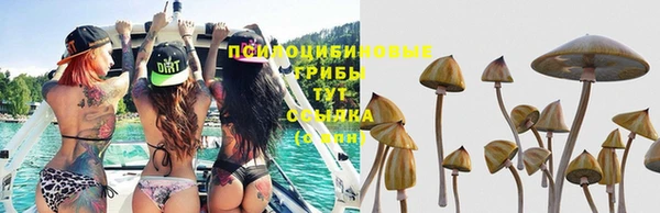 гашик Беломорск