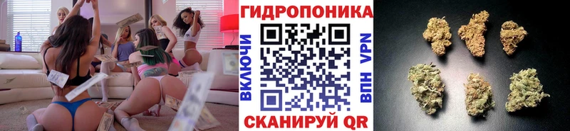 Конопля LSD WEED Ак-Довурак